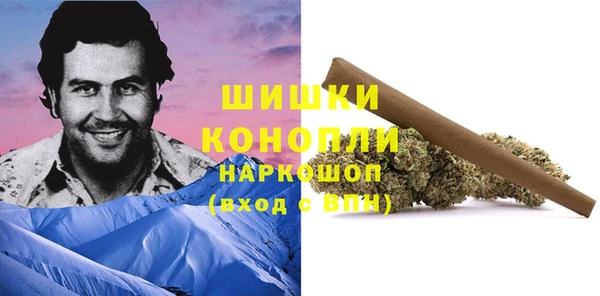 прущие грибы Балабаново