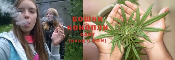 стаф Балахна