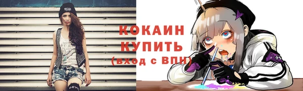 стаф Балахна