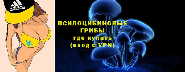стаф Балахна
