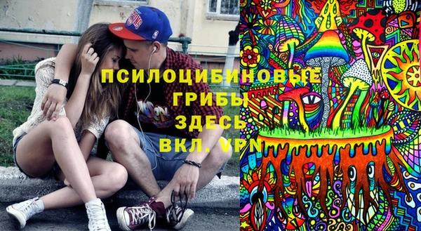 стаф Балахна