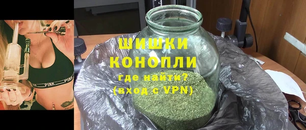 прущие грибы Балабаново