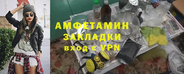 прущие грибы Балабаново
